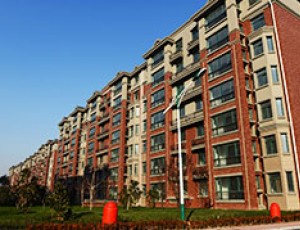 南马坊村##落实各项惠民政策 关键要抓好三个字