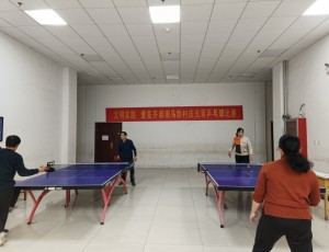 文明实践 爱在齐都 南马坊村庆元宵文体比赛