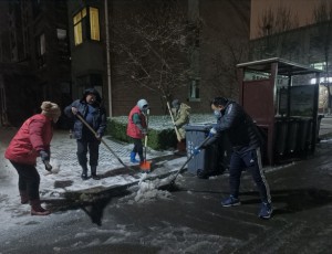 齐都镇南马坊村：齐心除雪保畅通 为民服务暖人心