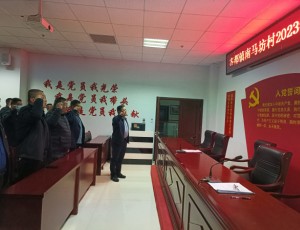 齐都镇南马坊村2023年度组织生活会