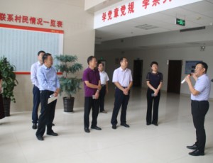 临淄区人大开展新农村建设专题调研