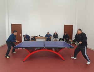 齐都镇南马坊村庆新春文体系列活动之一 ——乒乓球比赛