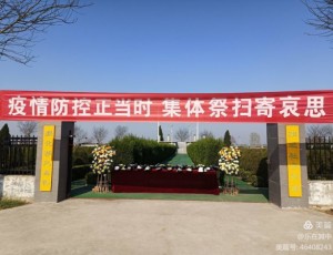 南马坊村集体祭扫寄哀思