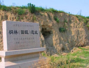 桐林（田旺）遗址