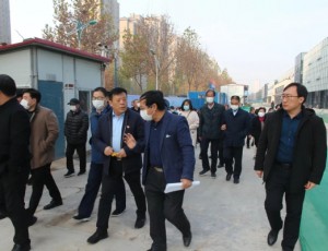 美丽乡村建设勾画宜居生态新齐都——齐都镇人大专题调研暨“市民代表看城市变化提意见建议”活动