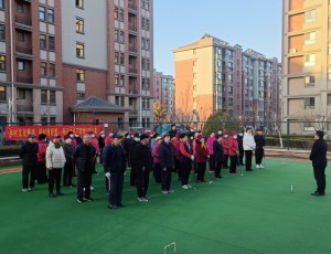 齐都镇南马坊村庆新春文体系列活动之五 ——门球比赛