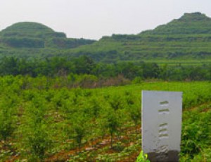 田齐王陵