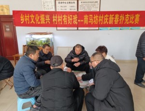 齐都镇南马坊村庆新春文体系列活动之四 ——扑克比赛