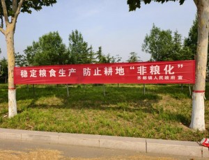 麦浪翻金粮归仓 干群同心护家园