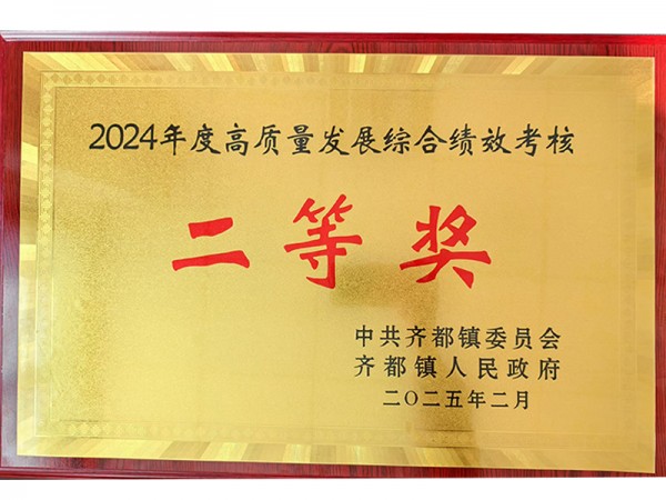 2024年度高质量发展综合绩效考核二等奖