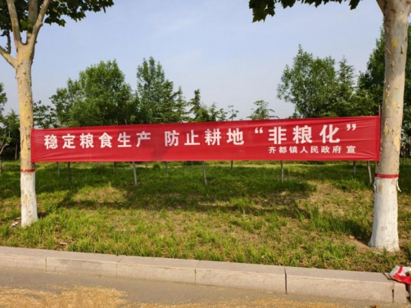 麦浪翻金粮归仓 干群同心护家园