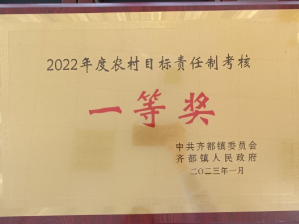 2022年度农村目标责任制考核一等奖