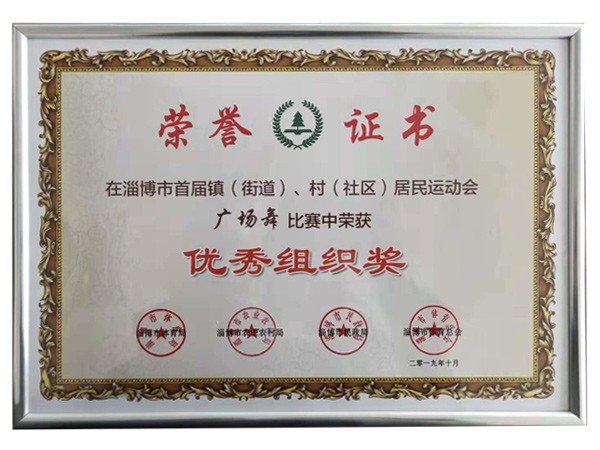 淄博市运动会广场舞比赛优 秀组织奖