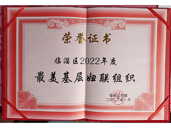 临淄区2022年度zui美基层妇联组织