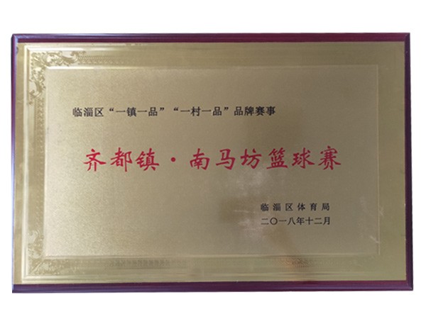 南马坊村篮球赛