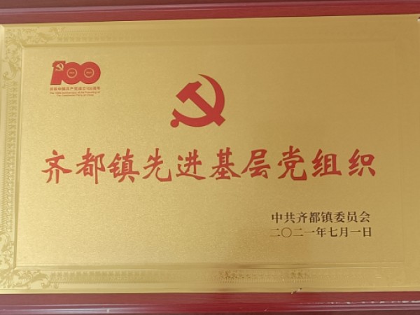 齐都镇先进基层党组织