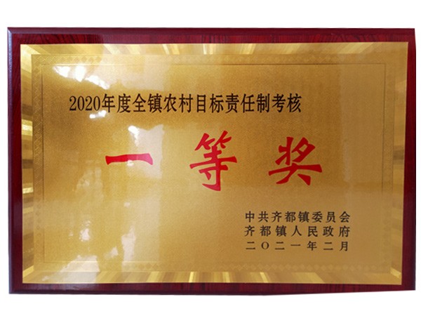 2020年度全镇农村目标责任制考核一 等奖