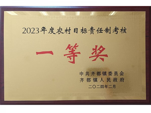 2023年度农村目标责任制考核一等奖