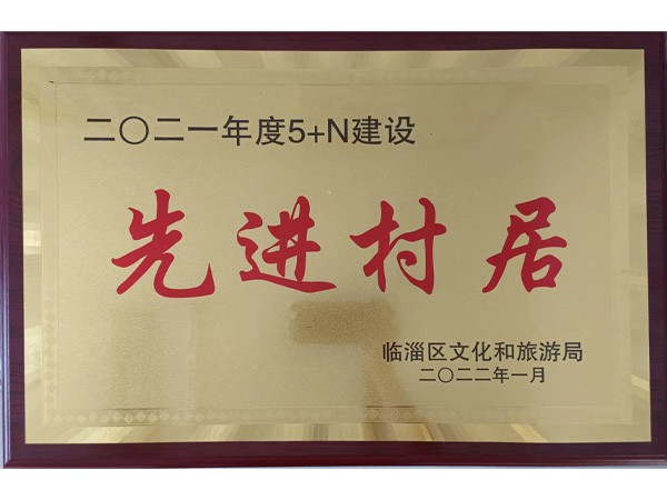 二O二一年度5+N建设先进村居