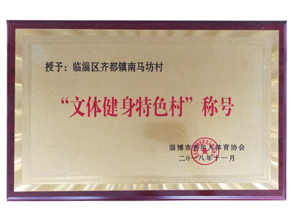临淄区文体健身特色村
