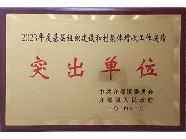 2023年度基层组织建设和村集体增收工作成绩突出单位