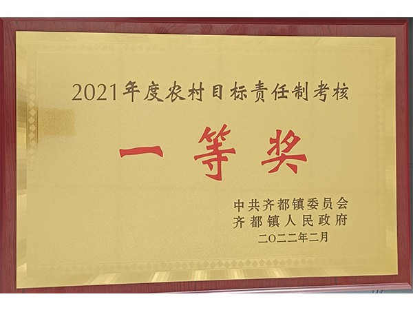 2021年度农村目标责任制考核一等奖