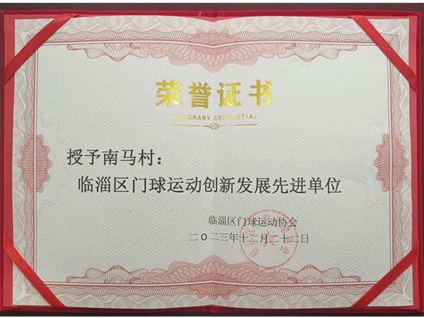 临淄区门球运动创新发展先进单位