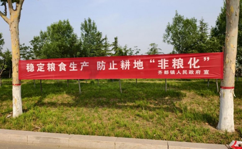 麦浪翻金粮归仓 干群同心护家园